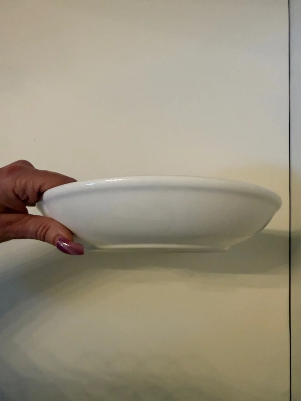 OVER AND BACK 9” INDIVIDUAL PASTA BOWL SUN-DRIED TOMATO WHITE RED PORTUGAL HOME